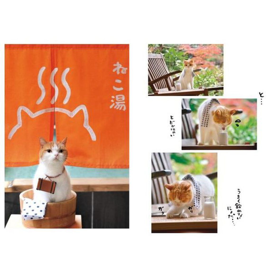 ひみつのにゃらん