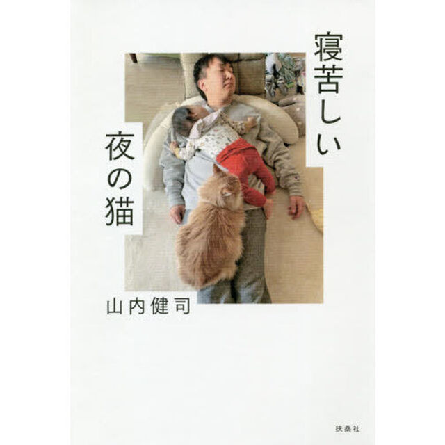 寝苦しい夜の猫