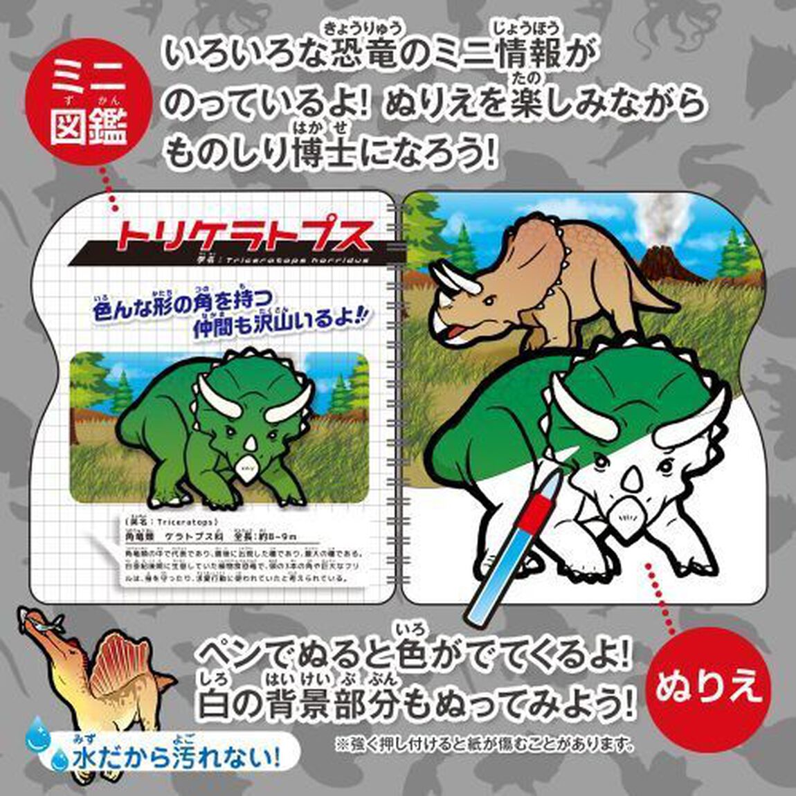 水ぬりえ　わくわく恐竜図鑑