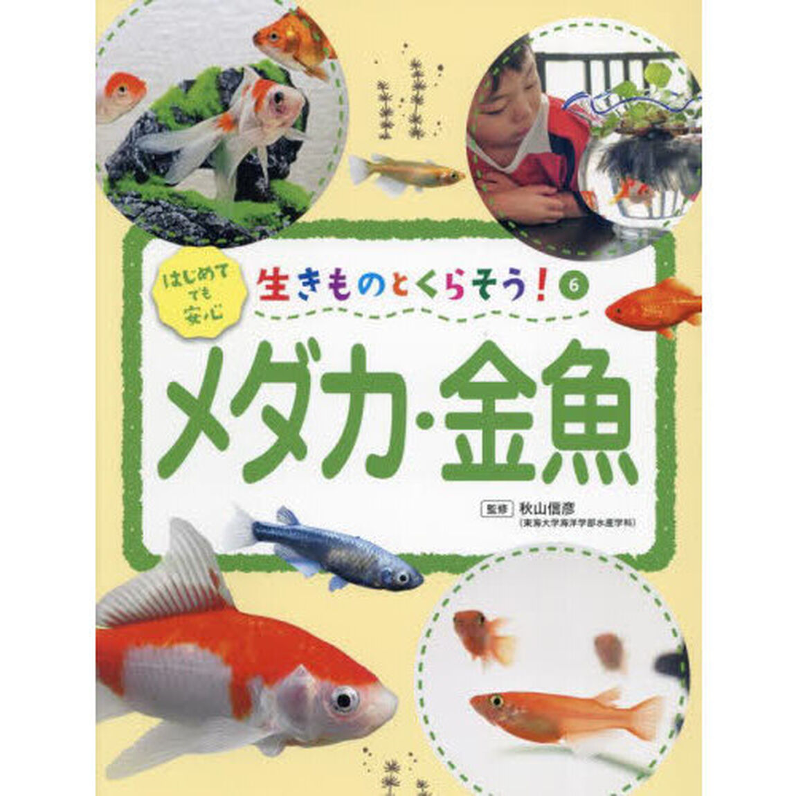 生きものとくらそう！　６「メダカ・金魚」