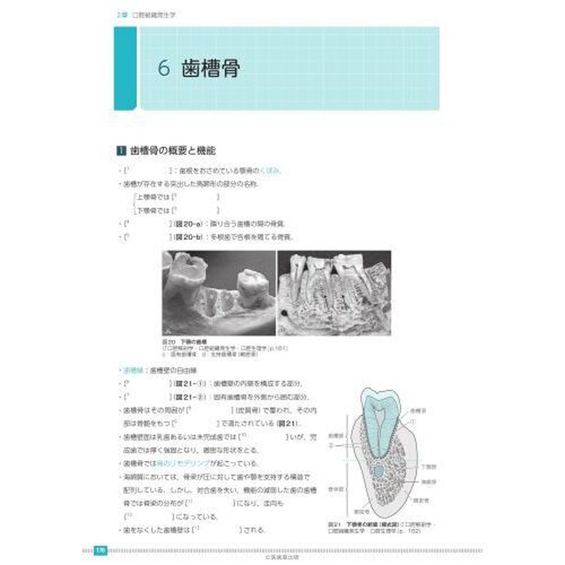 歯科衛生士書き込み式学習ノート　２０２３年度１「専門基礎科目編　人体の構造と機能／歯・口腔の構造と機能／疾病の成り立ち及び回復過程の促進」