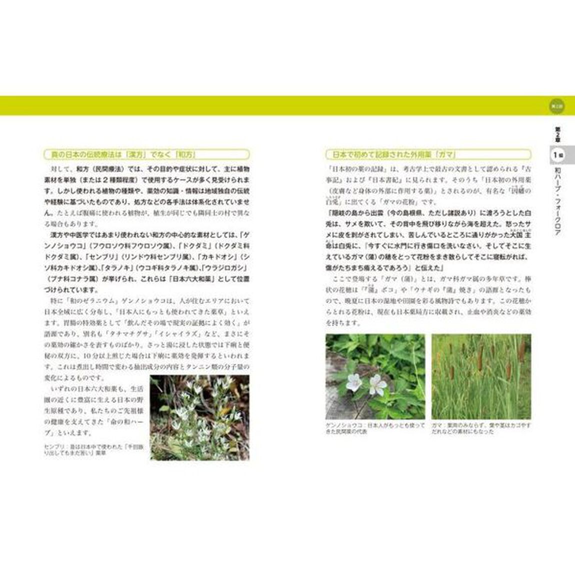 和ハーブ検定１級・２級公式テキスト　日本古来の身近な植物の知識、活用法を学ぶ