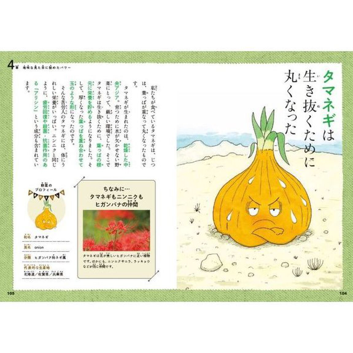 けなげな野菜図鑑