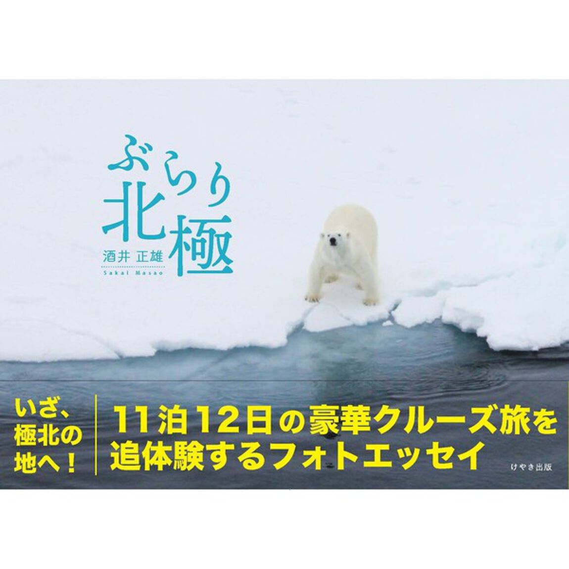 ぶらり北極