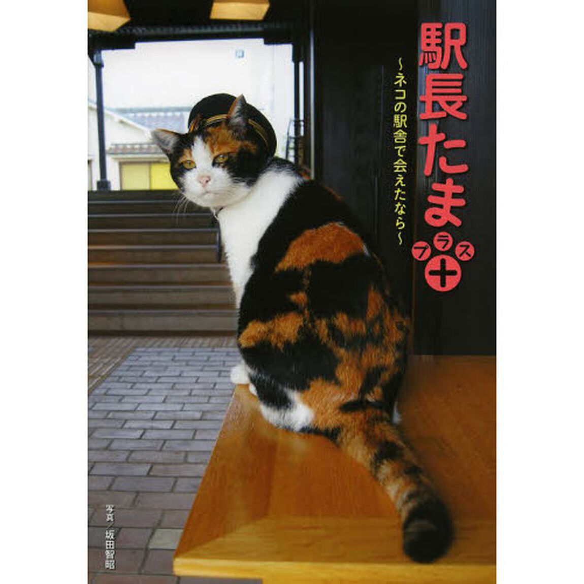 駅長たまプラス＋　ネコの駅舎で会えたなら