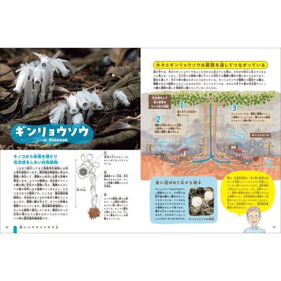 技あり！モーレツ植物ずかん　３「植物にパラサイトする系・菌にパラサイトする系」