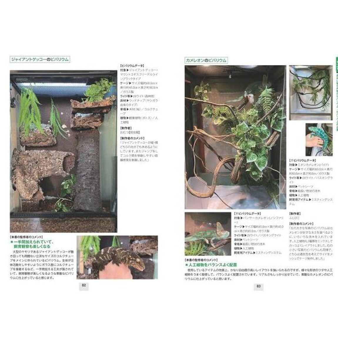 ビバリウム　爬虫類と両生類の暮らしを再現　生息環境・品種別のつくり方と魅せるポイント