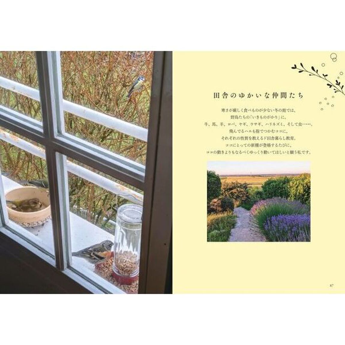 フランスの田舎に心ひかれて　移住した家族の心地よいライフスタイル
