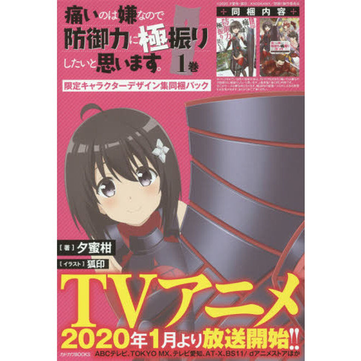 痛いのは嫌なので防御力に極振りしたいと思います。　限定キャラクターデザイン集同梱パック