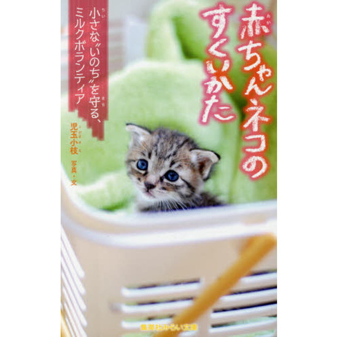赤ちゃんネコのすくいかた　小さな&ldquo;いのち&rdquo;を守る、ミルクボランティア