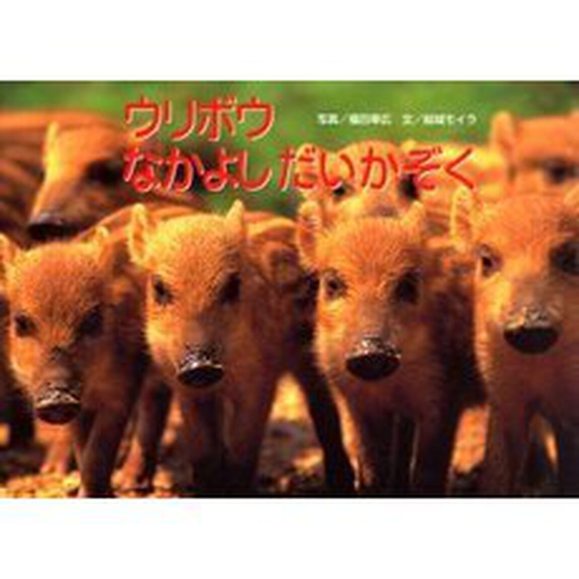 ウリボウなかよしだいかぞく