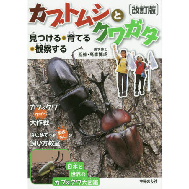 カブトムシとクワガタ　見つける・育てる・観察する「改訂版」