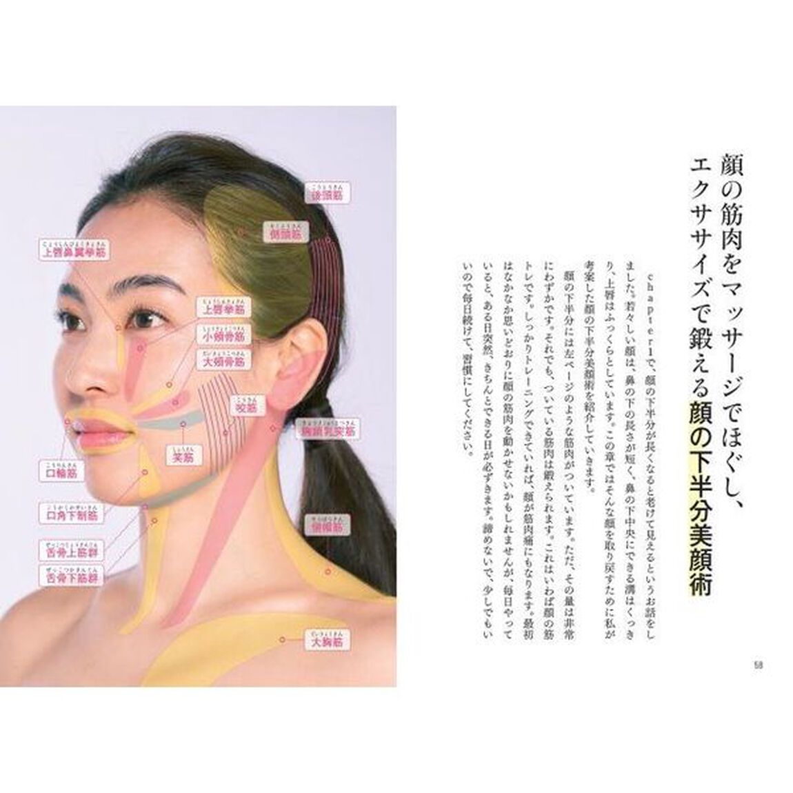 若く見られたければ、顔の下半分と首から下を鍛えなさい！　大人の美容講座