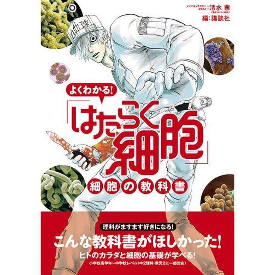 よくわかる！「はたらく細胞」細胞の教科書