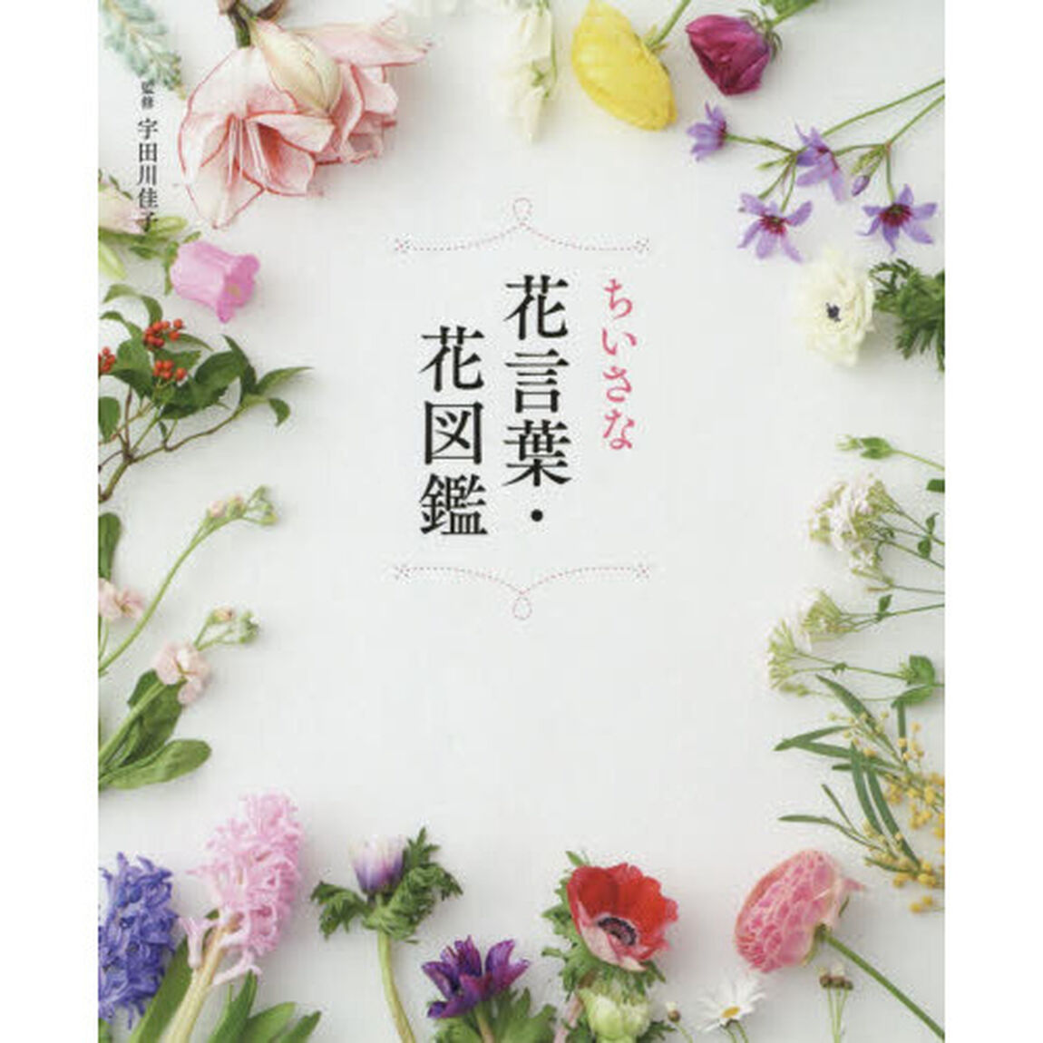 ちいさな花言葉・花図鑑