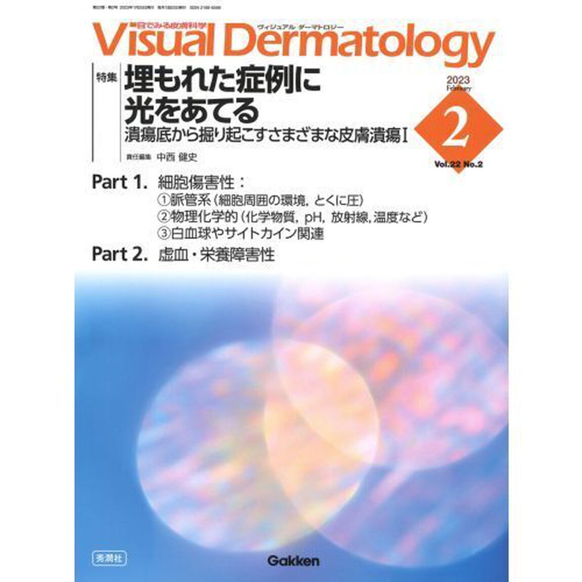 Ｖｉｓｕａｌ　Ｄｅｒｍａｔｏｌｏｇｙ　目でみる皮膚科学　Ｖｏｌ．２２Ｎｏ．２（２０２３－２）「特集埋もれた症例に光をあてる　潰瘍底から掘り起こすさまざまな皮膚潰瘍　１」