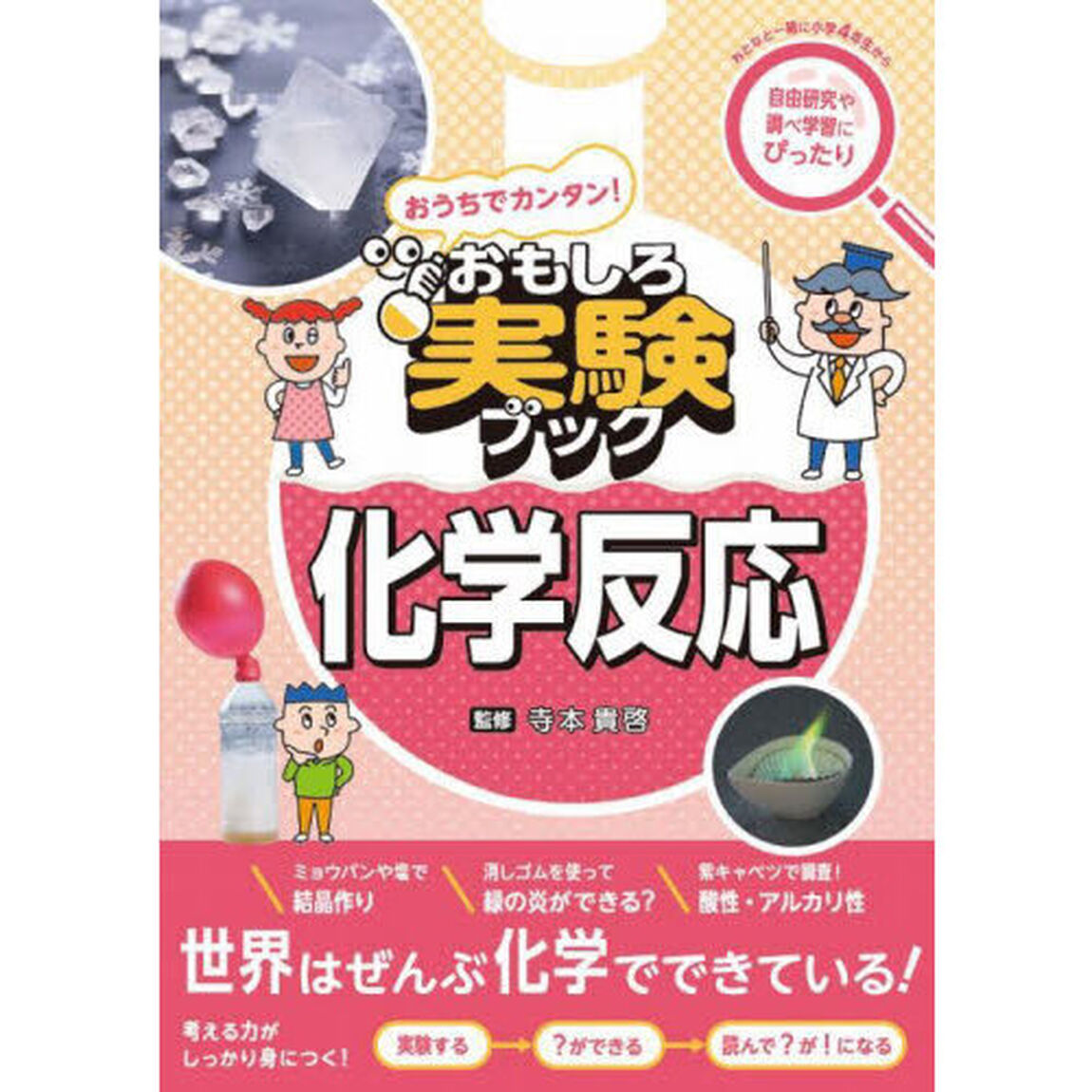 おうちでカンタン！おもしろ実験ブック化学反応
