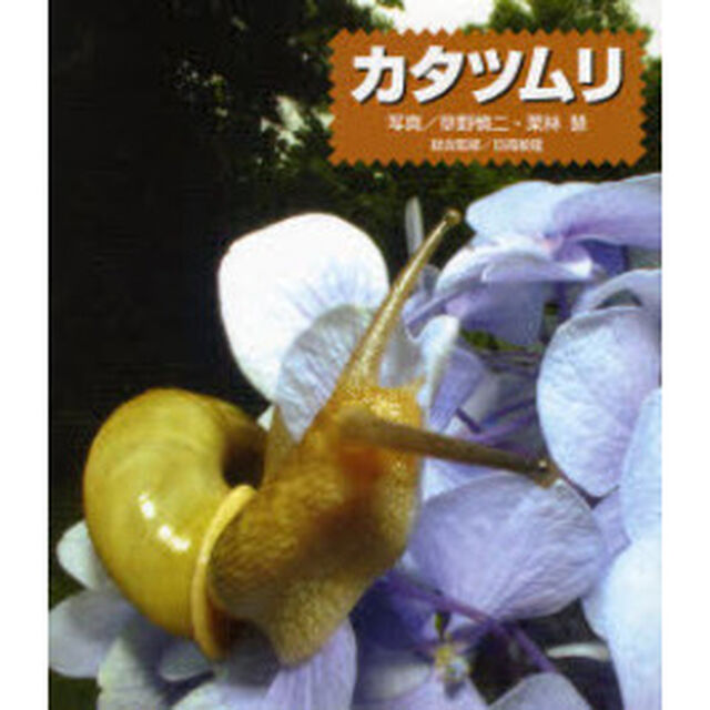 カタツムリ