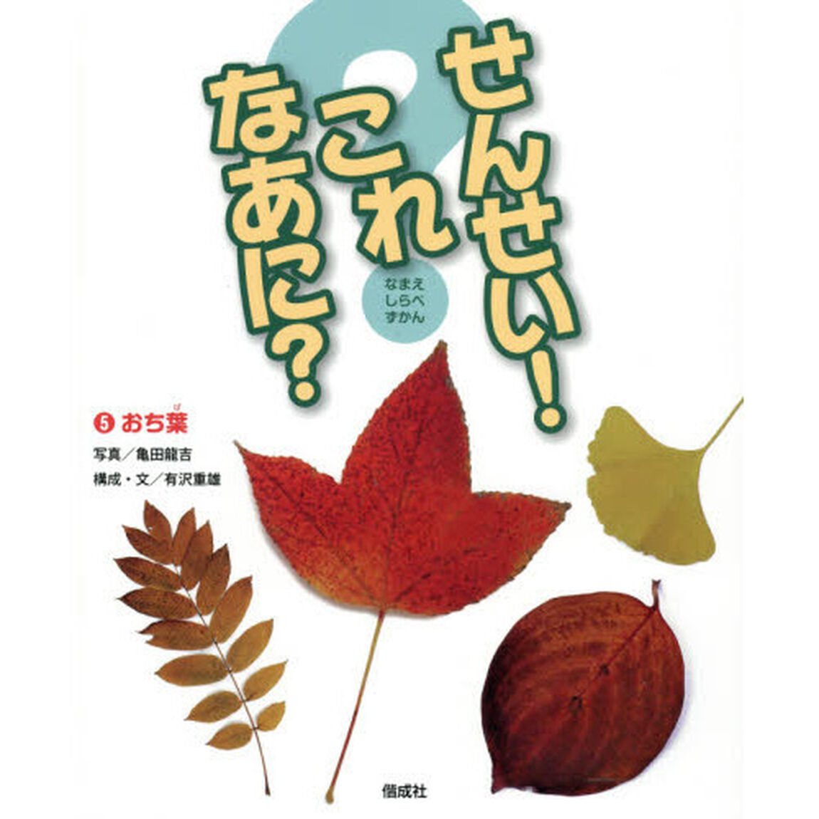 せんせい！これなあに？　なまえしらべずかん　５「おち葉」