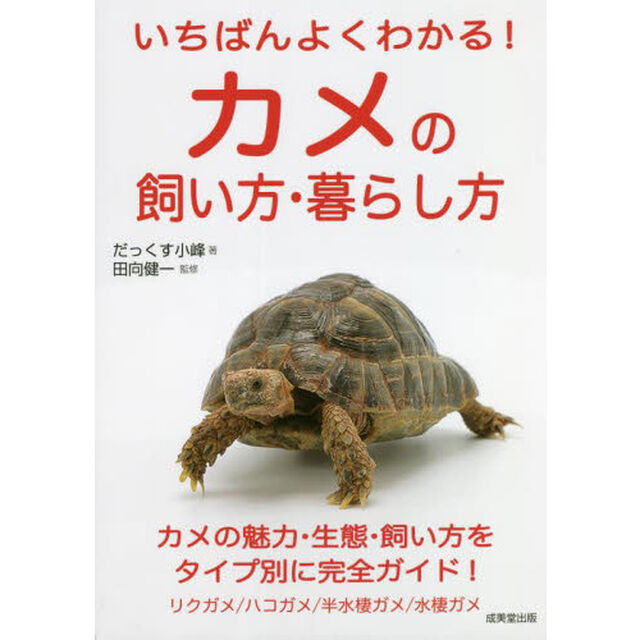 いちばんよくわかる！カメの飼い方・暮らし方