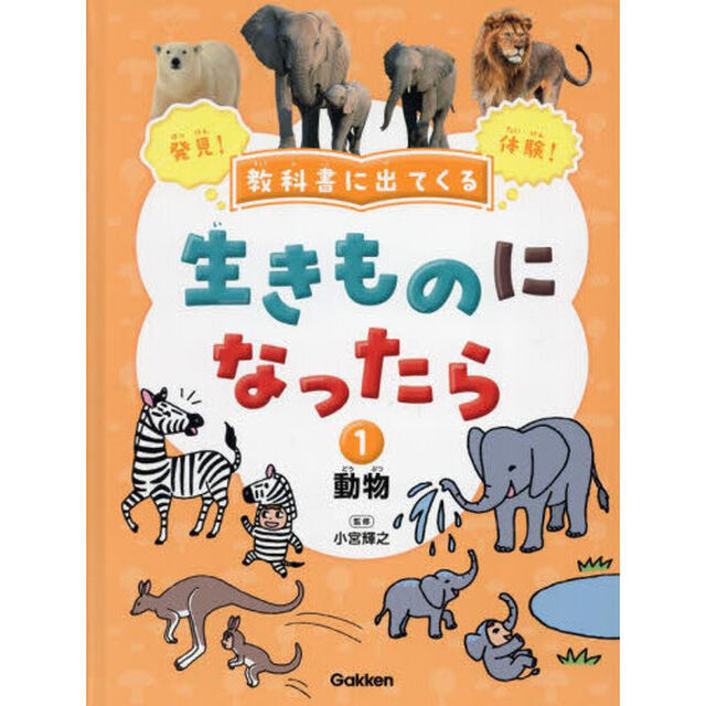 教科書に出てくる生きものになったら　発見！体験！　１「動物　シマウマ／ライオン／ヤマアラシ／オオアリクイ／カンガルー／ホッキョクグマほか」
