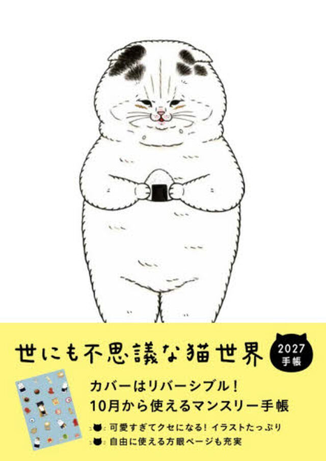 &rsquo;２７　世にも不思議な猫世界手帳