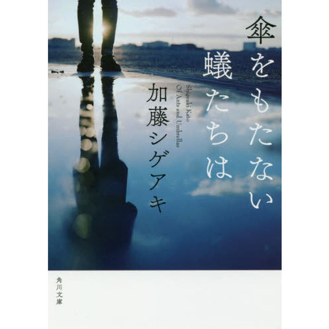 傘をもたない蟻たちは