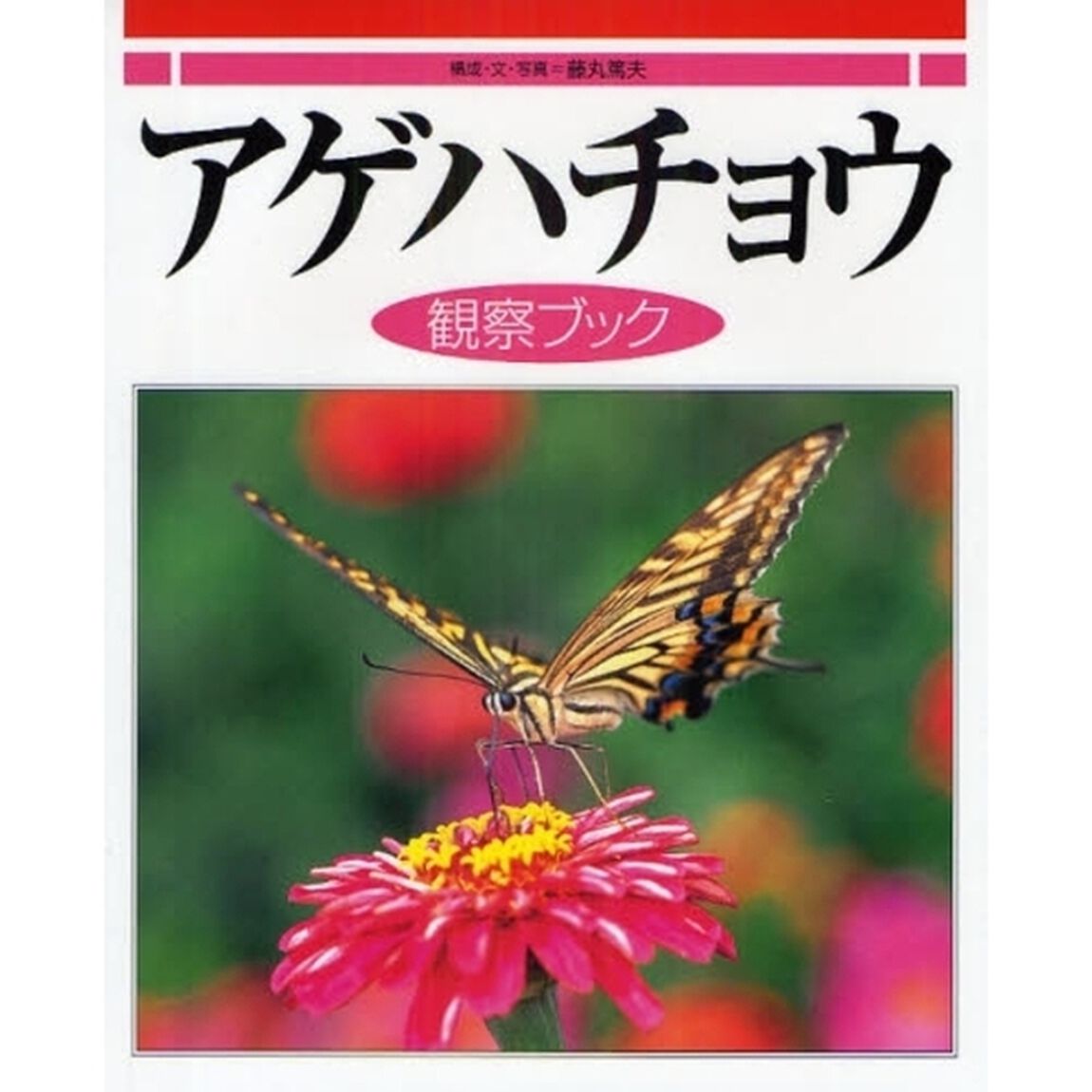 アゲハチョウ観察ブック