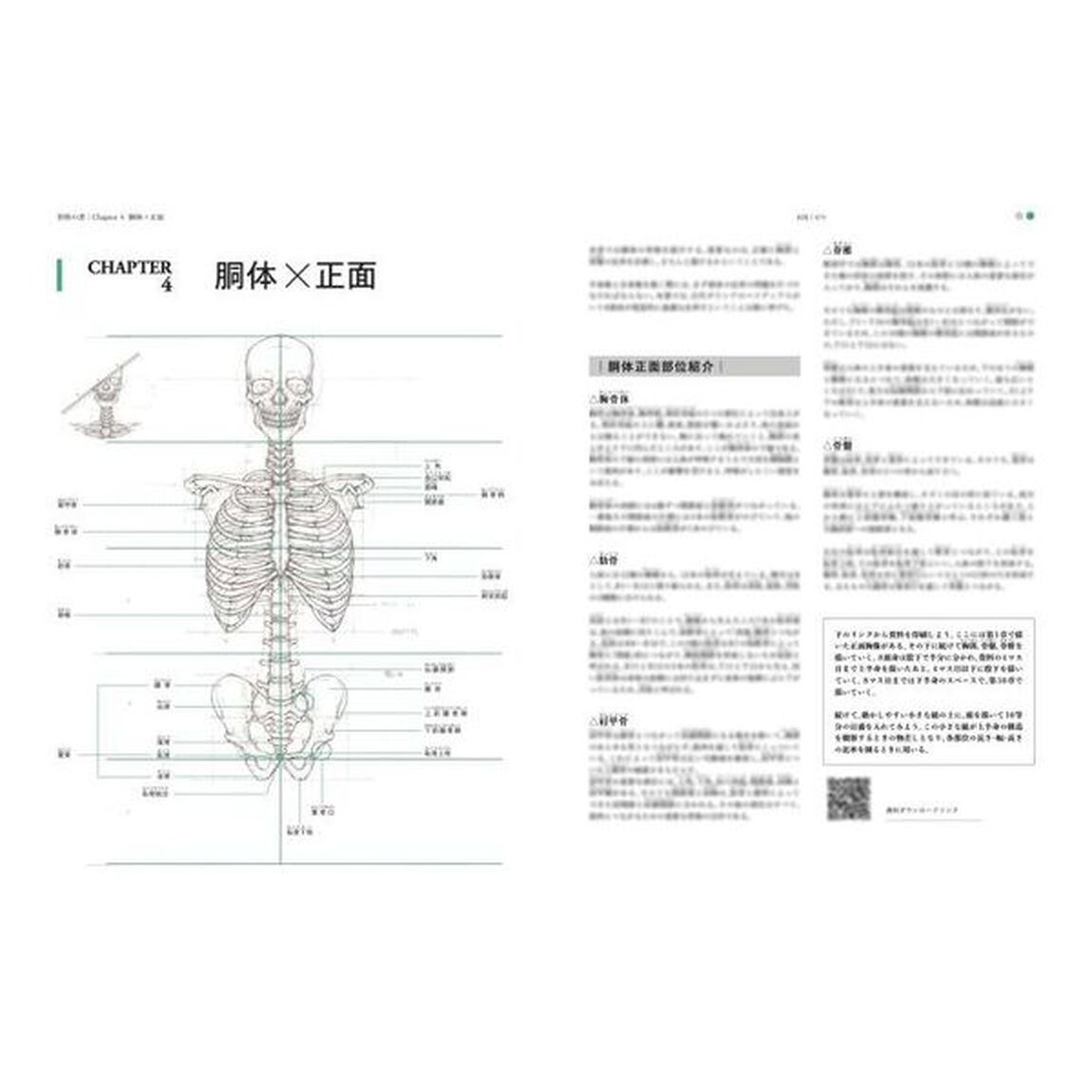 骨格の書　医学部解剖室の准教授が教える美術解剖学