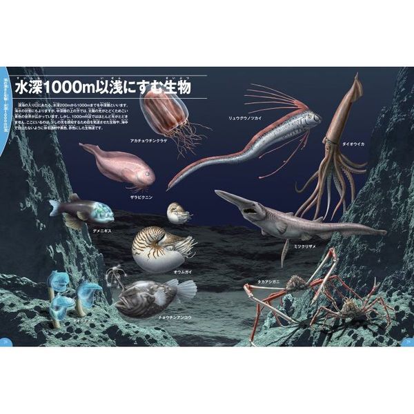 学研の図鑑LIVE 深海生物 - 通販｜セブンネットショッピング
