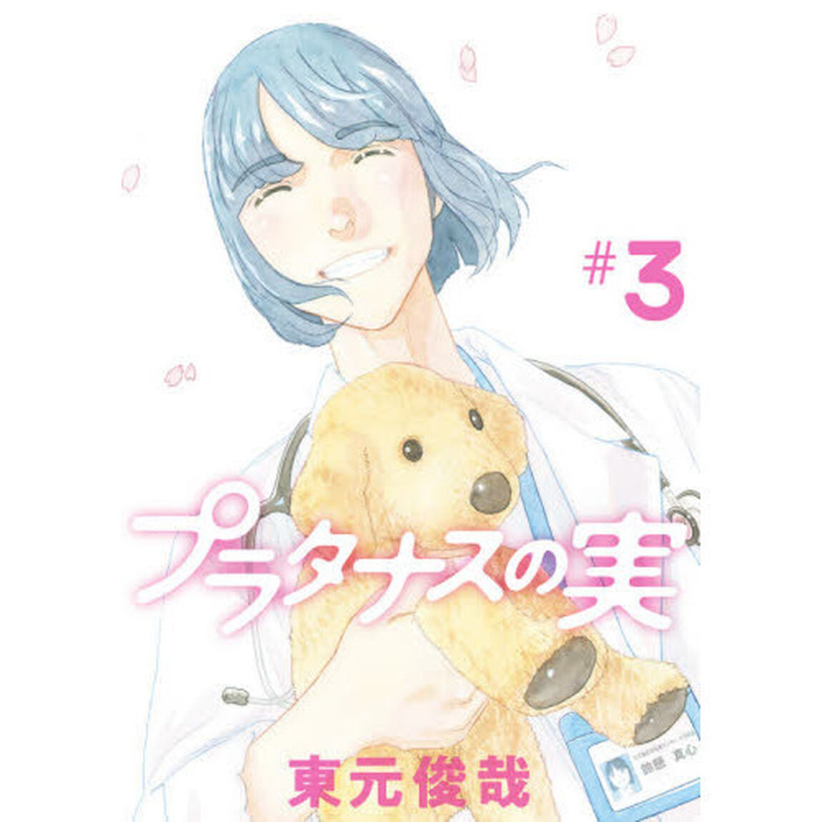 プラタナスの実　＃３