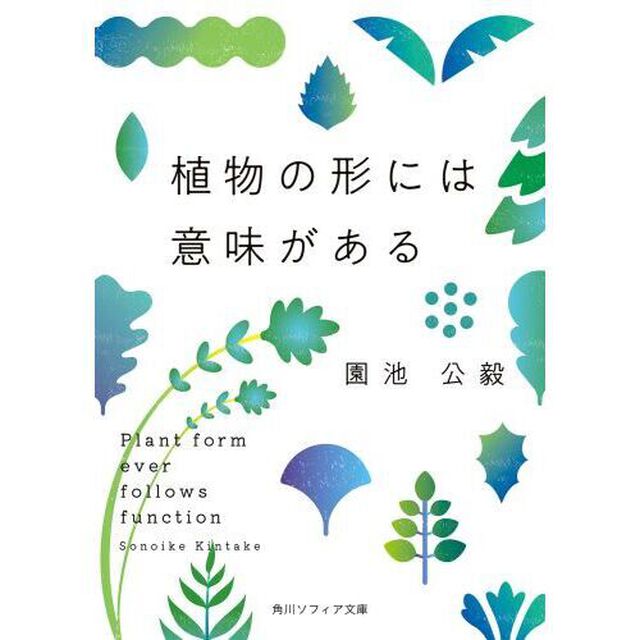 植物の形には意味がある