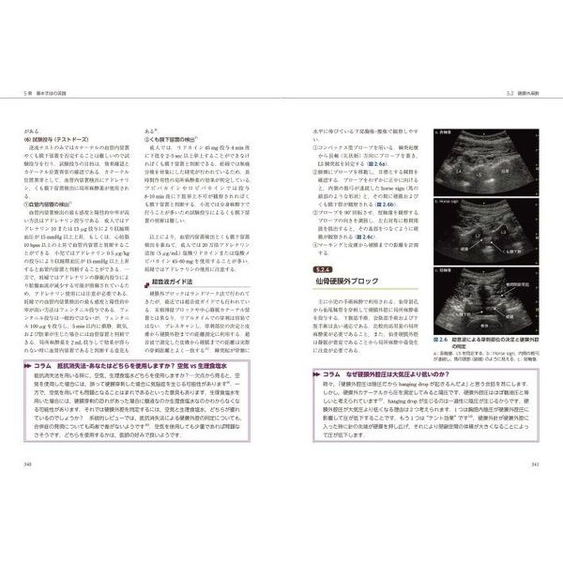 臨床麻酔科学書