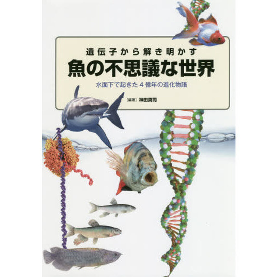 遺伝子から解き明かす魚の不思議な世界　水面下で起きた4億年の進化物語