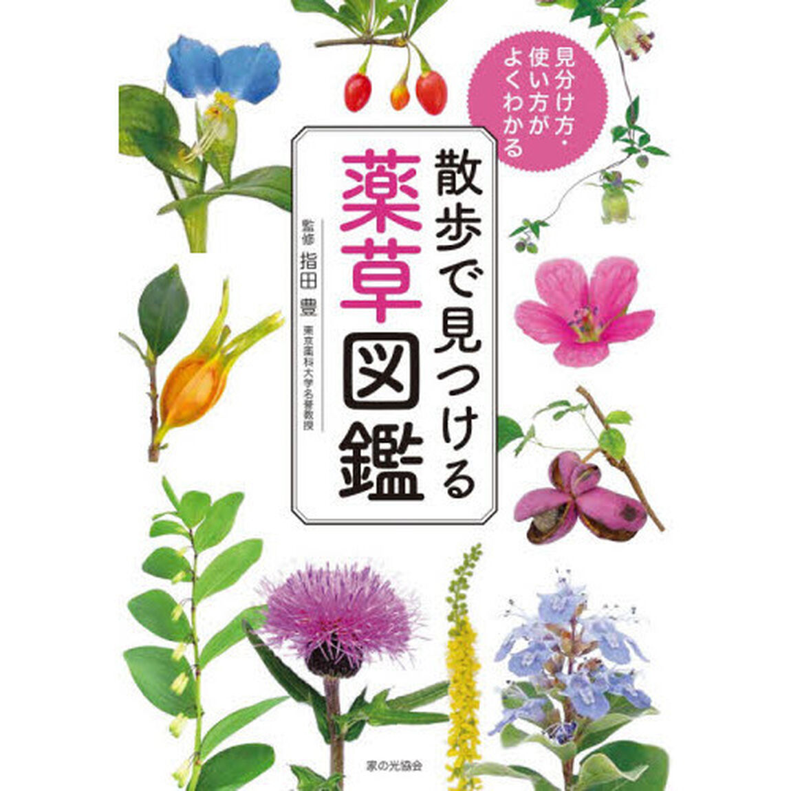 散歩で見つける薬草図鑑　見分け方・使い方がよくわかる