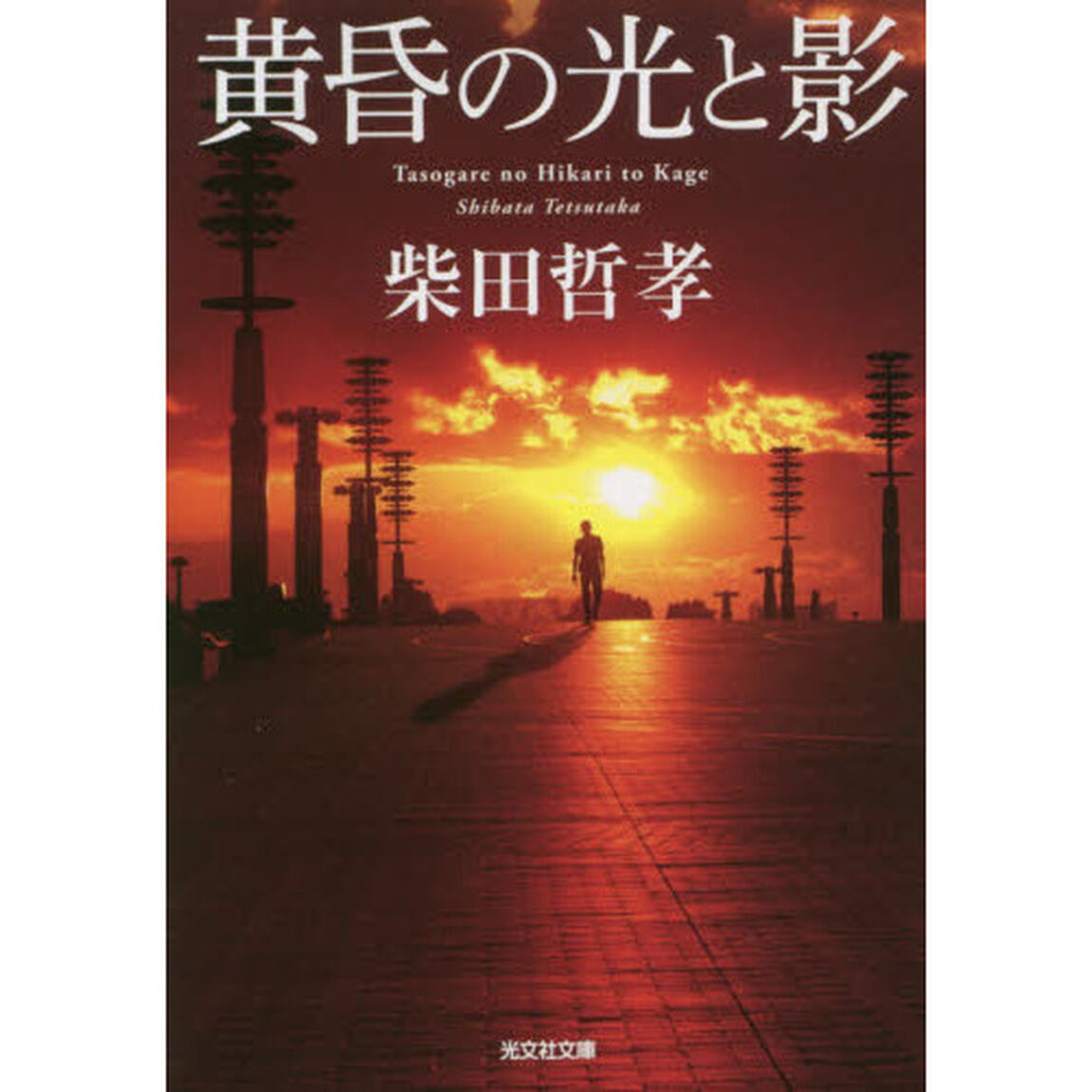黄昏の光と影