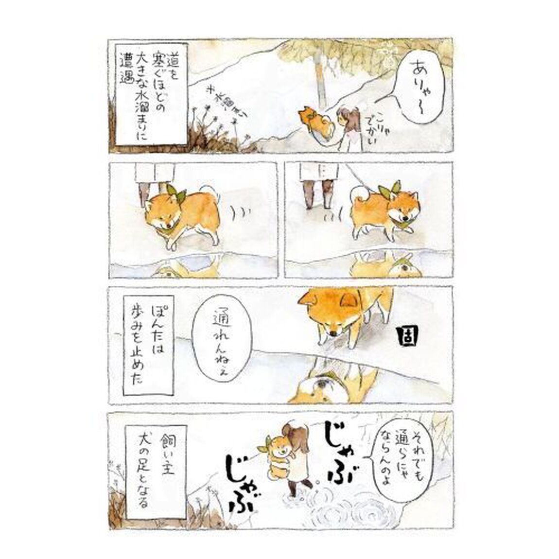 柴犬ぽんちゃん、今日もわが道を行く　２