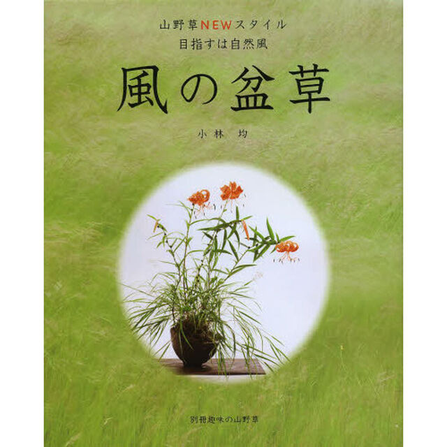 風の盆草　山野草ＮＥＷスタイル目指すは自然風