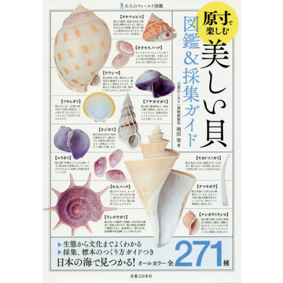 原寸で楽しむ美しい貝図鑑＆採集ガイド
