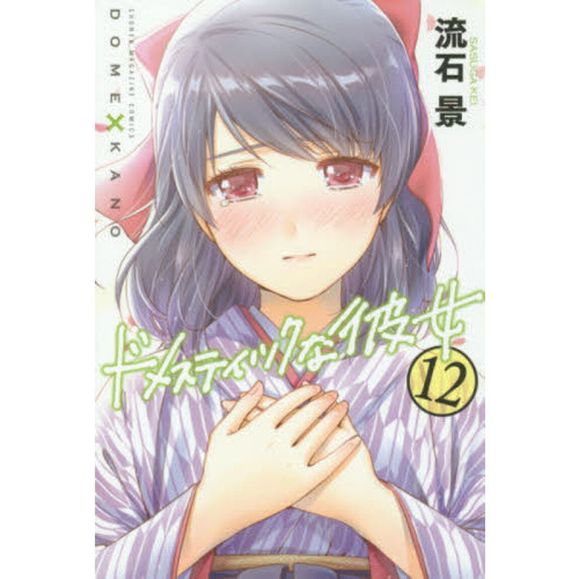 ドメスティックな彼女　１２