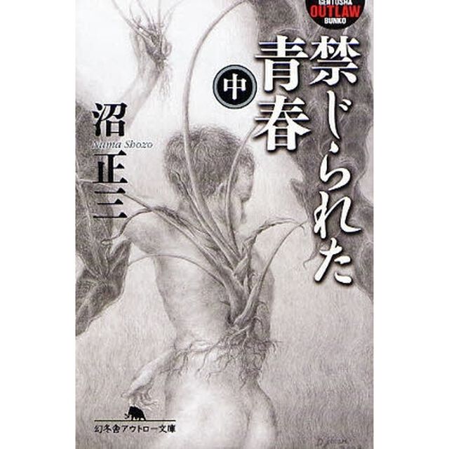 禁じられた青春　中