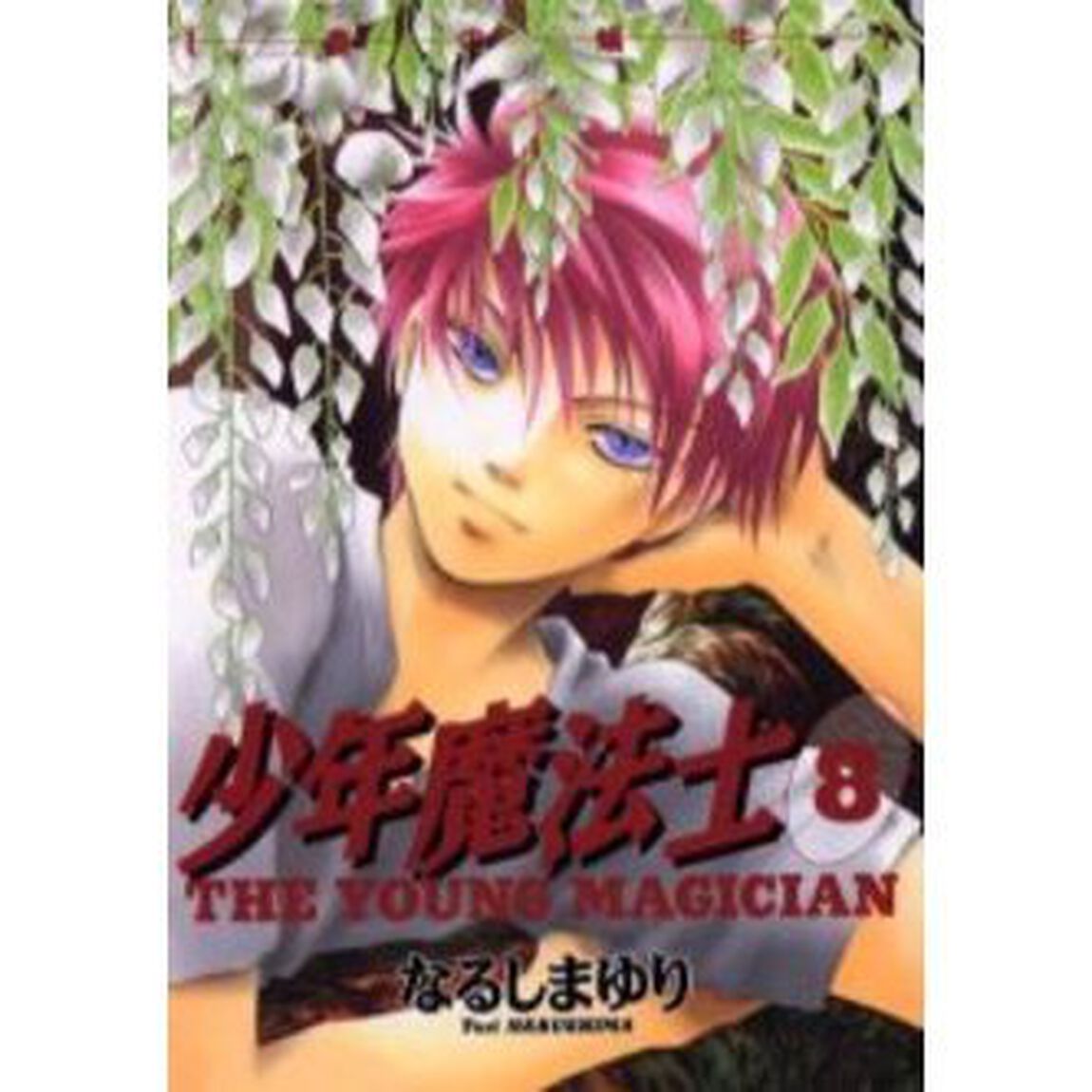 少年魔法士　８