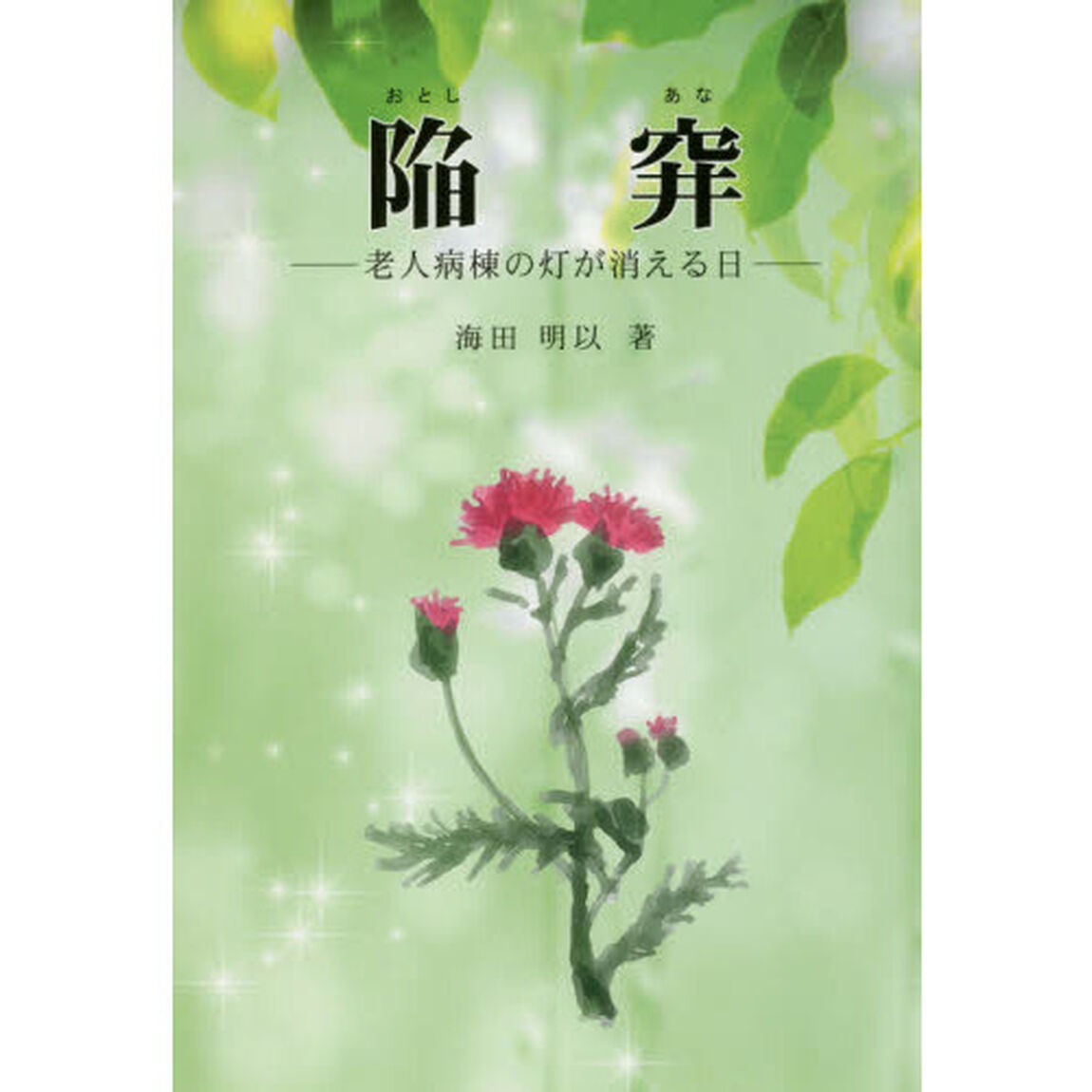 陥穽（おとしあな）　老人病棟の灯が消える日「改訂新版」