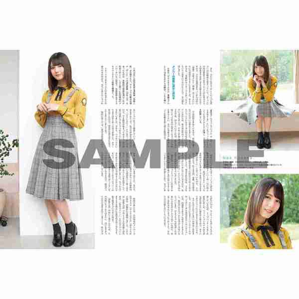 日経エンタテインメント！　日向坂46 Special【付録：クリアファイル2枚付き（「17人集合」＆「加藤史帆&times;齊藤京子&times;小坂菜緒」）】