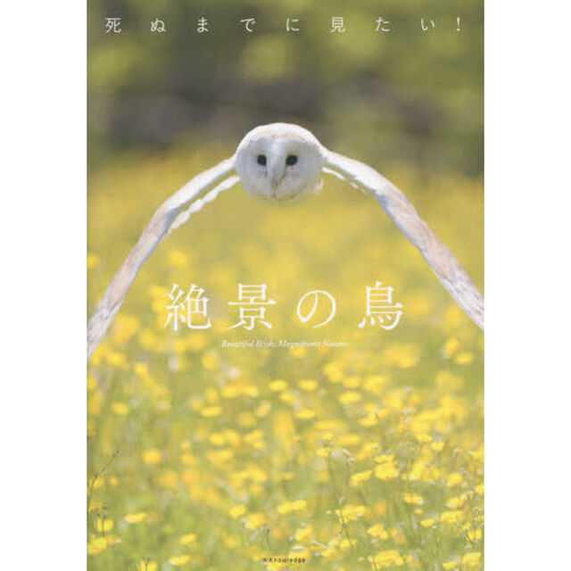 死ぬまでに見たい！絶景の鳥