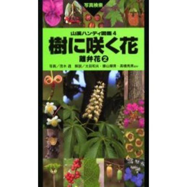 樹に咲く花　離弁花２