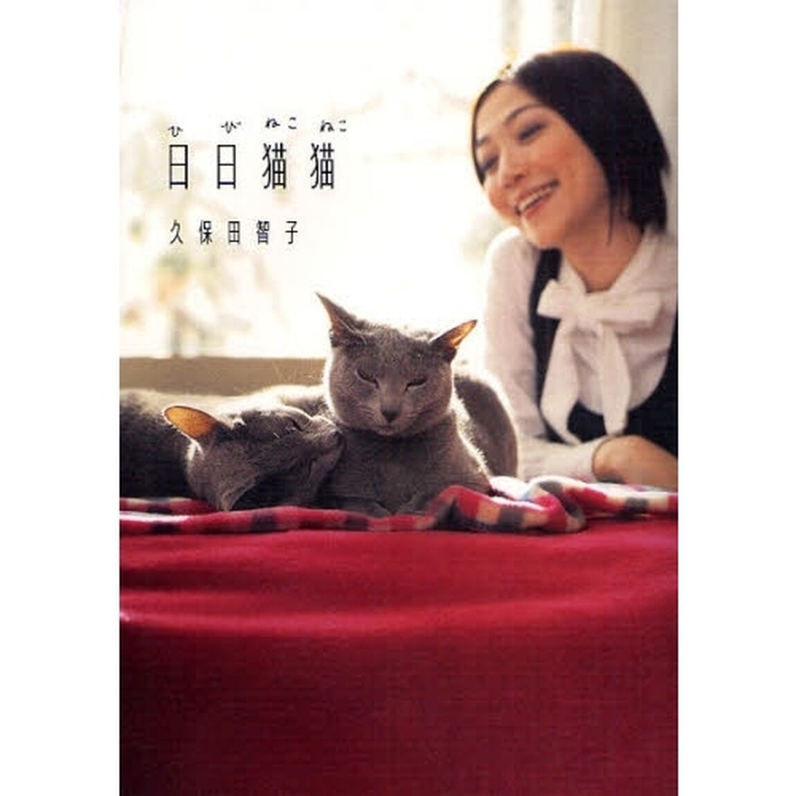 日日猫猫
