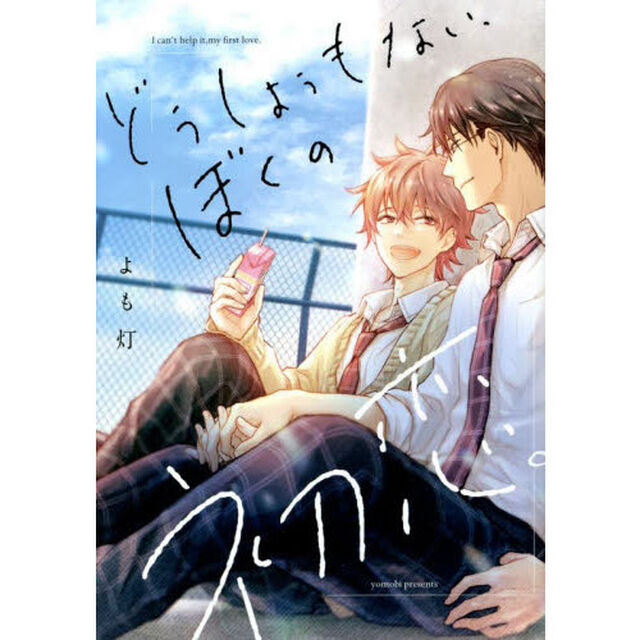どうしようもない、ぼくの初恋。