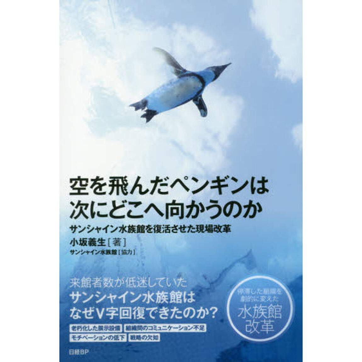 空を飛んだペンギンは次にどこへ向かうのか サンシャイン水族館を復活させた現場改革