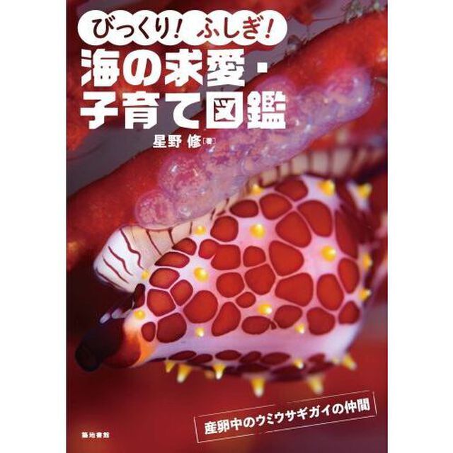 びっくり！ふしぎ！海の求愛・子育て図鑑